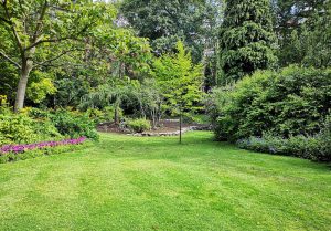 Optimiser l'expérience du jardin à Buicourt